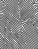 Abstract Black and White Linear Pattern Rug