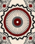 Radiant Radial Mandala Pattern Rug