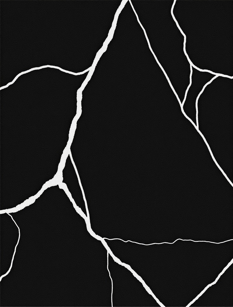 Abstract Black White Cracked Design Rug