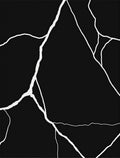 Abstract Black White Cracked Design Rug