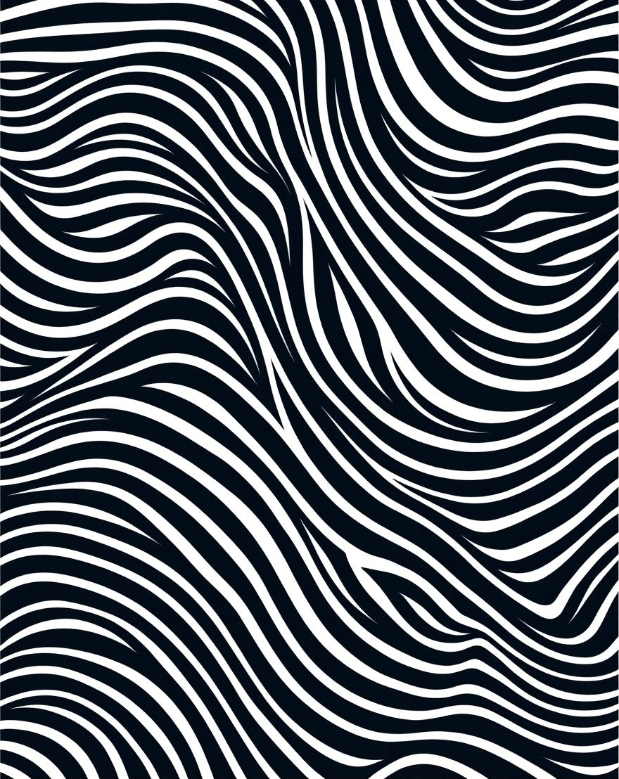 Abstract Black White Wave Pattern Rug