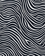 Abstract Black White Wave Pattern Rug