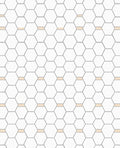 Geometric Hexagonal Pattern Rug