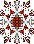 Ornate Floral Medallion Pattern Design Rug