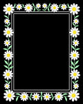 Daisies and Leaves Border Design Rug