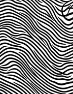Bold Wavy Stripe Design Rug