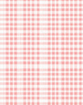 Pink Gingham Plaid Pattern Rug