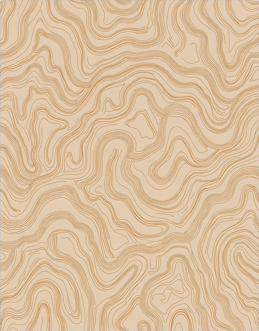Desert Topographic Contour Lines Pattern Rug