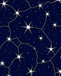 Night Sky Constellation Pattern Rug