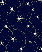 Night Sky Constellation Pattern Rug