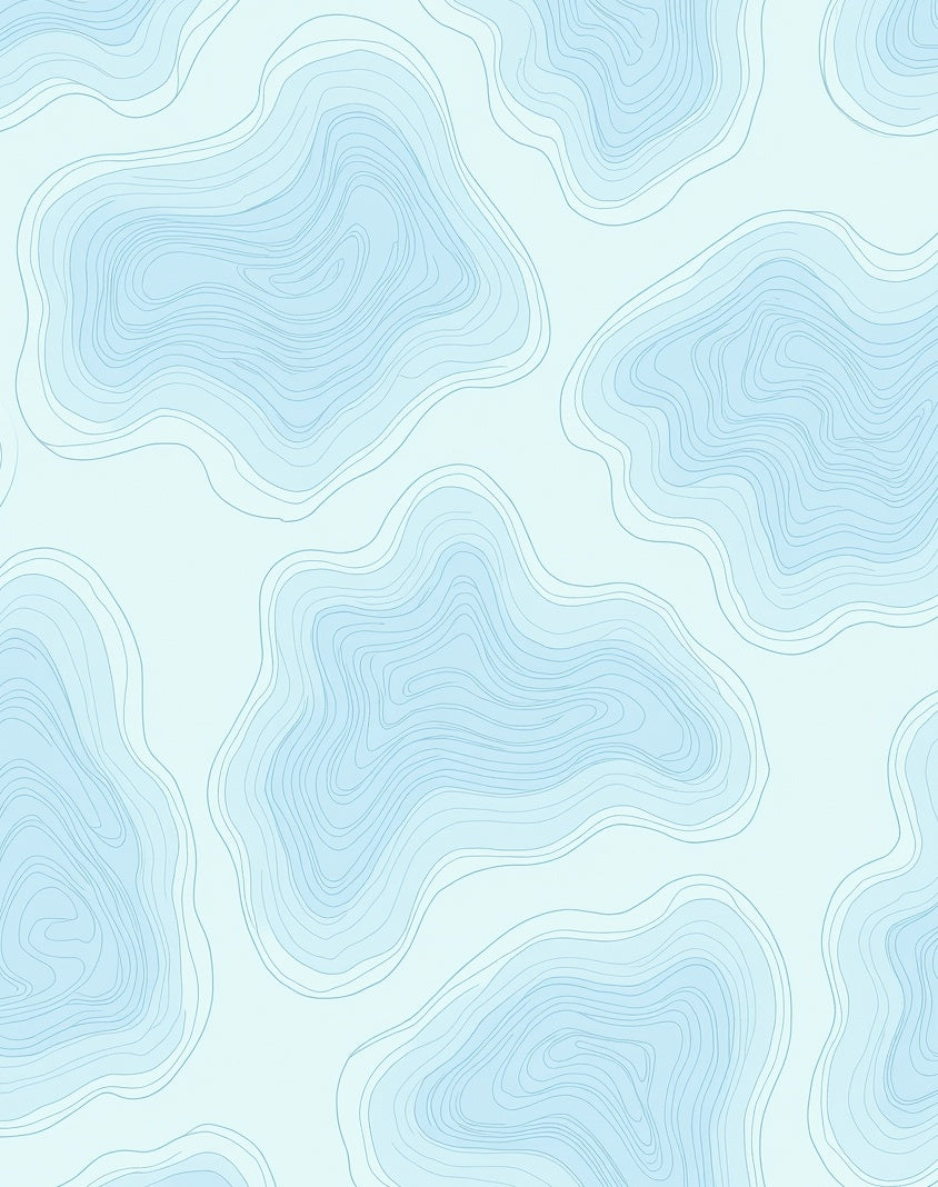Sky Blue Contour Map Pattern Rug