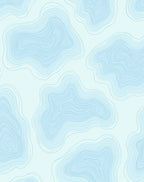 Sky Blue Contour Map Pattern Rug