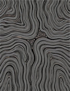 Abstract Organic Contour Pattern Rug