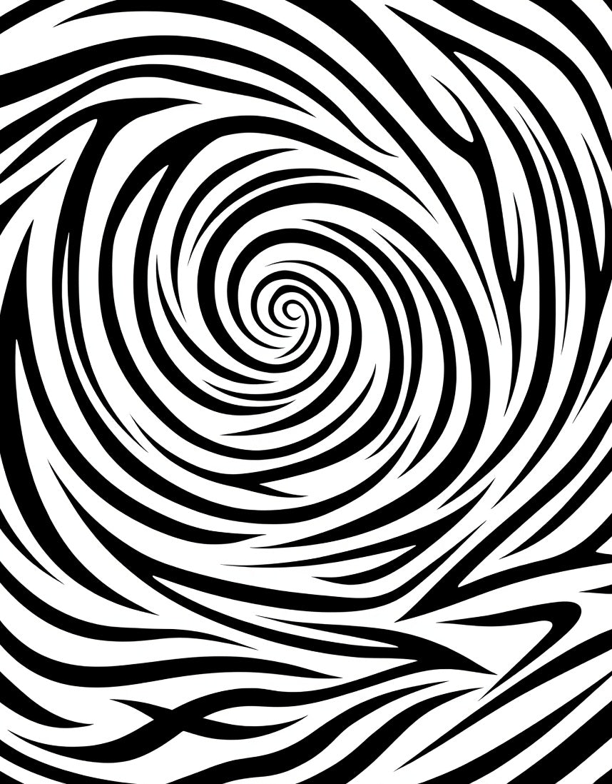 Black White Swirl Pattern Rug