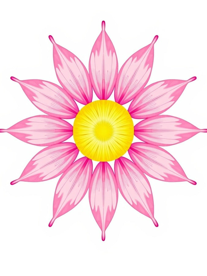 Pink Daisy Floral Radiating Pattern Rug