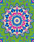 Radial Swirl Floral Pattern Rug