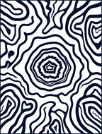Abstract Black White Organic Waves Rug