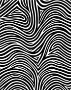 Abstract Black and White Curve Pattern Rug