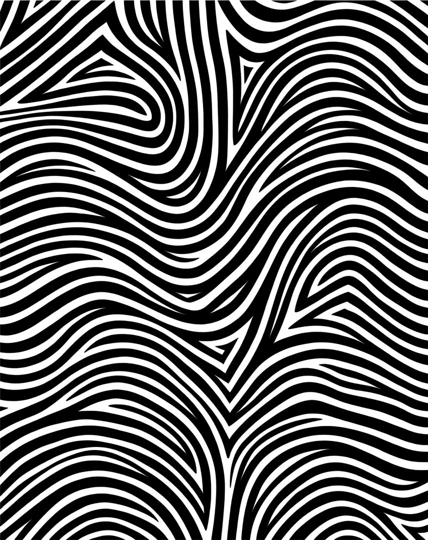 Abstract Black and White Curve Pattern Rug