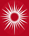 Bold Starburst Sunburst Design Rug