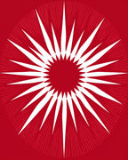 Bold Starburst Sunburst Design Rug