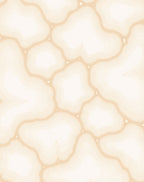 Organic Contour Cream Swirl Pattern Rug