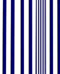 Bold Blue White Vertical Stripe Design Rug