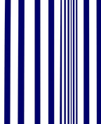 Bold Blue White Vertical Stripe Design Rug