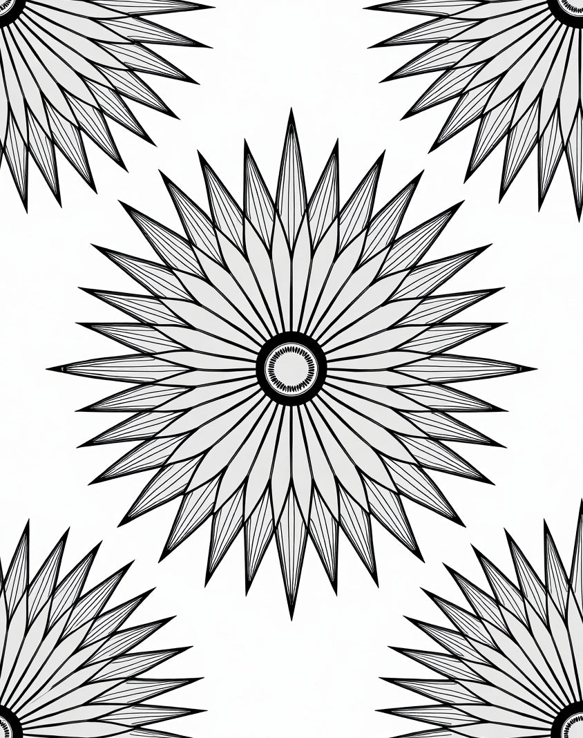Radial Sunburst Geometric Design Rug