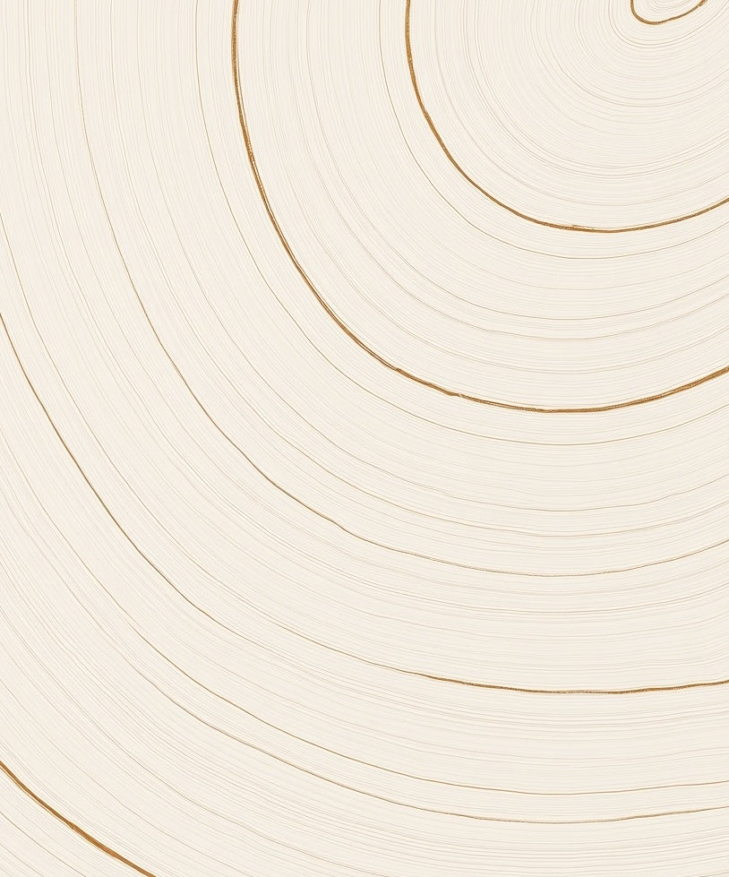 Modern Concentric Gold Lines Rug