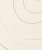 Modern Concentric Gold Lines Rug