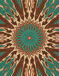 Radiant Sunburst Wood Grain Pattern Rug