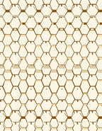 Geometric Honeycomb Style Pattern Rug