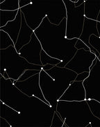 Black Dot Line Connection Design Rug