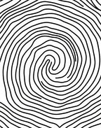 Concentric Line Swirl Pattern Rug