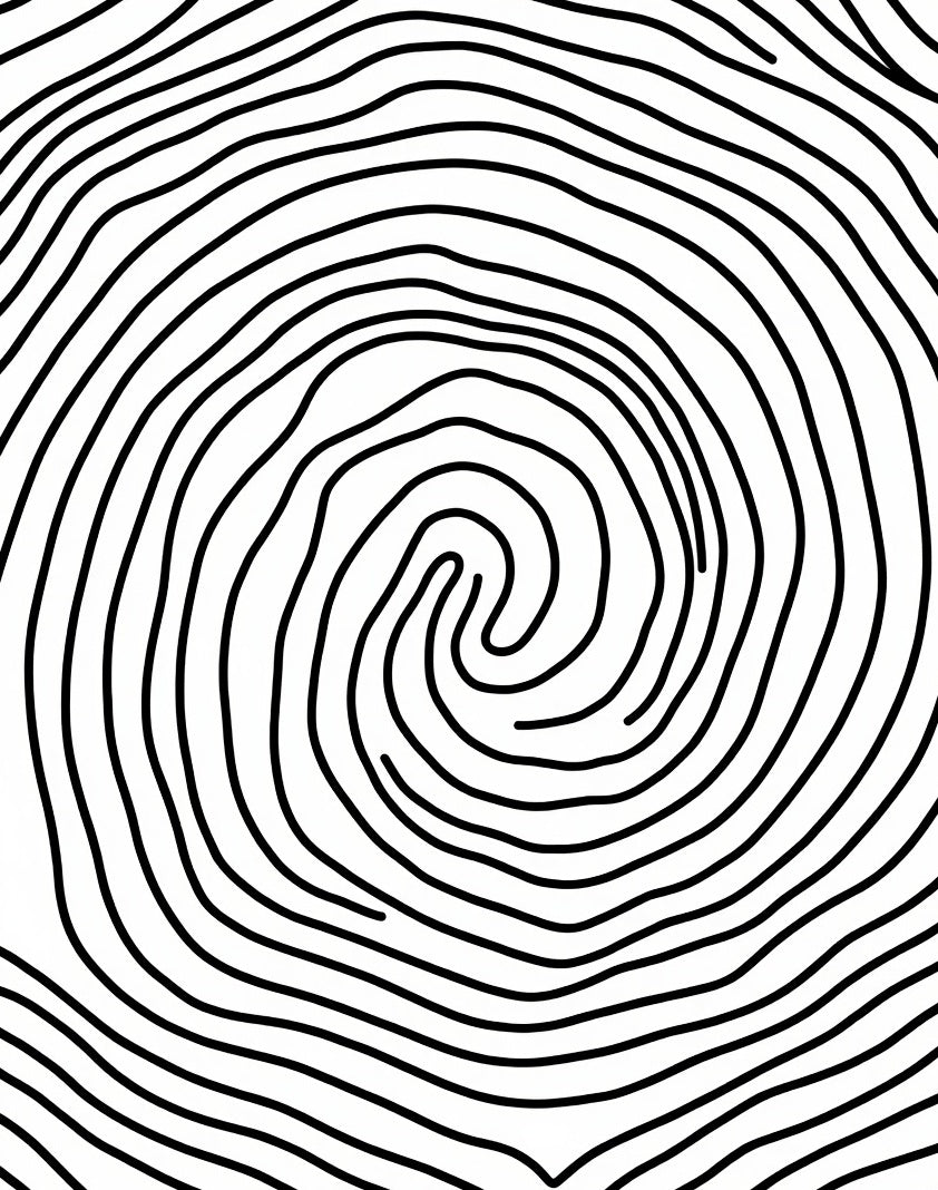Concentric Line Swirl Pattern Rug