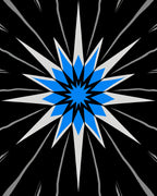 Dynamic Blue White Starburst Design Rug