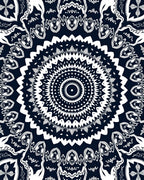 Intricate Radial Black And White Design Rug