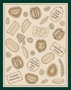 Specimen Study Sepia Tone Scientific Pattern Rug