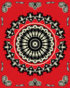 Bold Floral Sunburst Mandala Design Rug