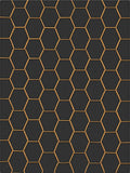 Black Gold Hexagonal Geometric Design Rug