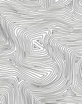 Monoline Contour Topographic Pattern Rug