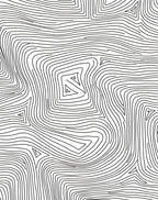 Monoline Contour Topographic Pattern Rug