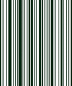 Dark Green White Vertical Stripe Rug