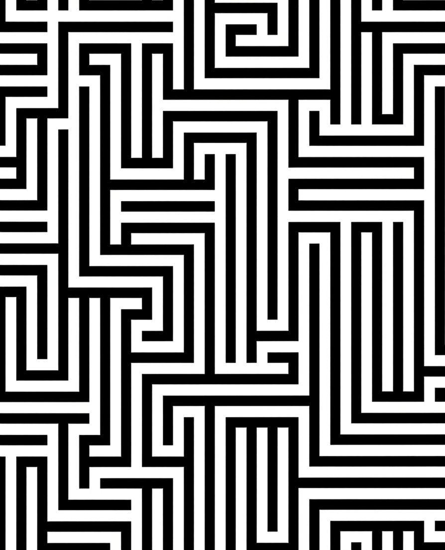 Black White Maze Pattern Rug
