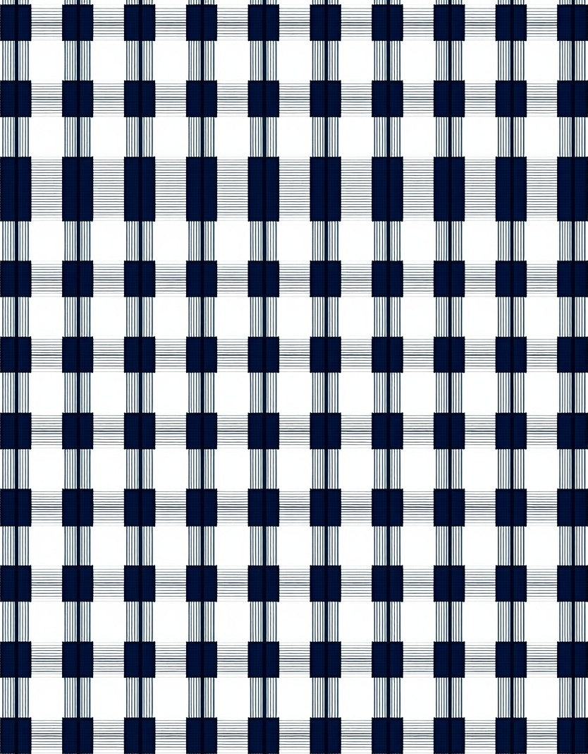 Classic Blue White Plaid Design Rug
