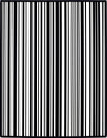 Bold Black White Striped Design Rug