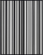 Bold Black White Striped Design Rug
