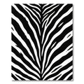 Dramatic Black White Animal Stripes Rug