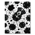 Black White Splatter Dog Portrait Rug